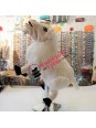 Handpuppet sheep on Souvenirsdelyon.com