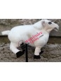 Handpuppet sheep 4 on Souvenirsdelyon.com