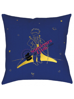 Coussin garni le Petit Prince cape chez Souvenirsdelyon.com