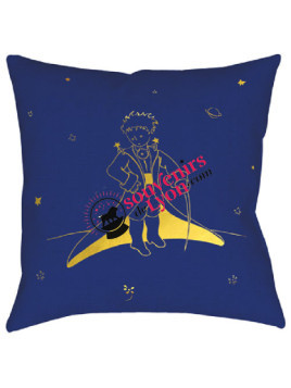 Cushion filled with the Little Prince cape Souvenirsdelyon.com