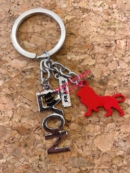 Porte-clés Lyon Onlylyon argent chez Souvenirsdelyon.com