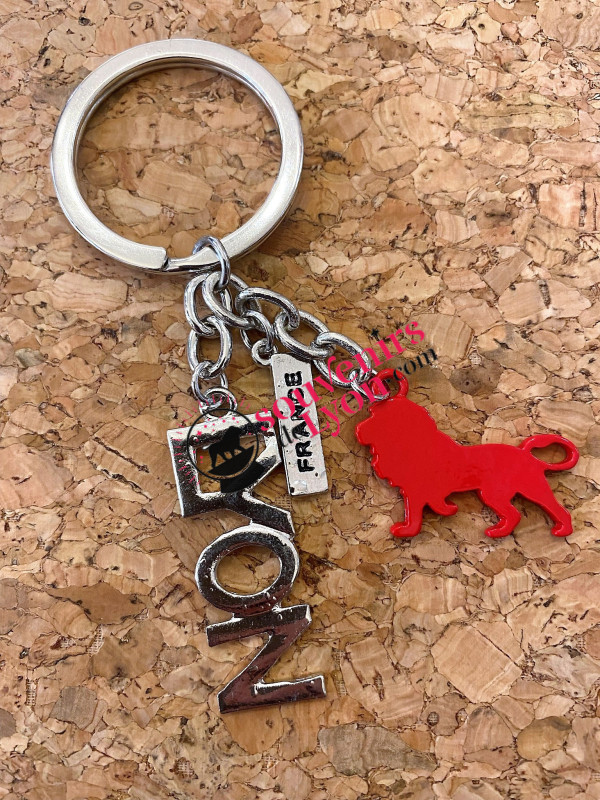 Lyon Onlylyon silver key ring  Souvenirsdelyon.com