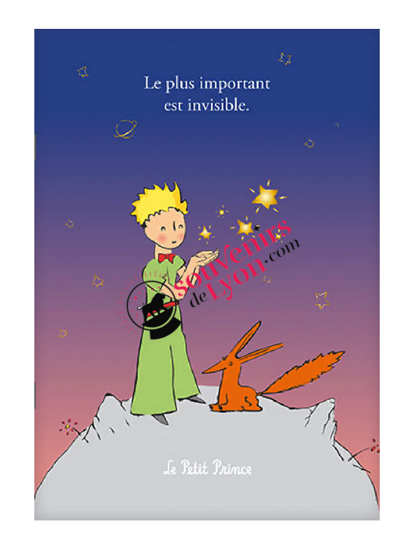 Cahier Le Petit Prince et le Renard Souvenirsdelyon.com