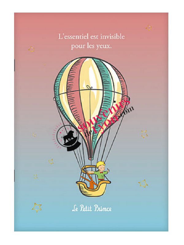 Notebook The Little Prince in hot air balloon Souvenirsdelyon.com