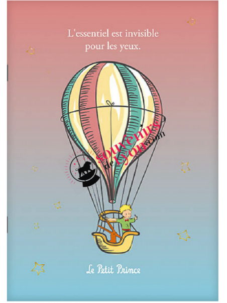 Carnet Le Petit Prince en mongolfiere chez Souvenirsdelyon.com