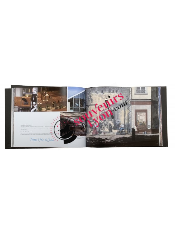 Livre Lyon Fresques et Murs Peints Thierry Brusson chez Souvenirsdelyon.com