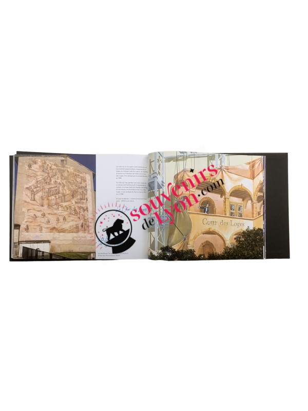 Livre Lyon Fresques et Murs Peints Thierry Brusson chez Souvenirsdelyon.com