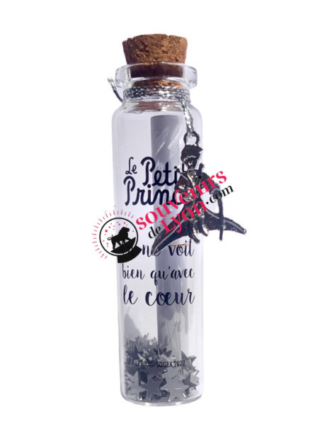 Wish bottle the Little Prince cape and sword charm Souvenirsdelyon.com