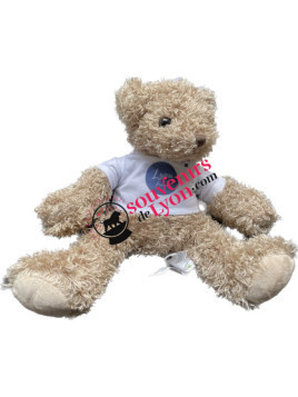 Teddy Bear Lyon 2 at Souvenirsdelyon.Com