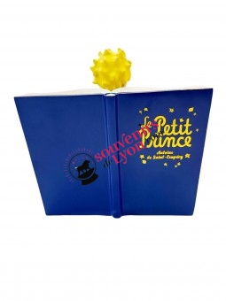 Figurine le Petit Prince, livre, la Rose et le Renard chez Souvenirsdelyon.com