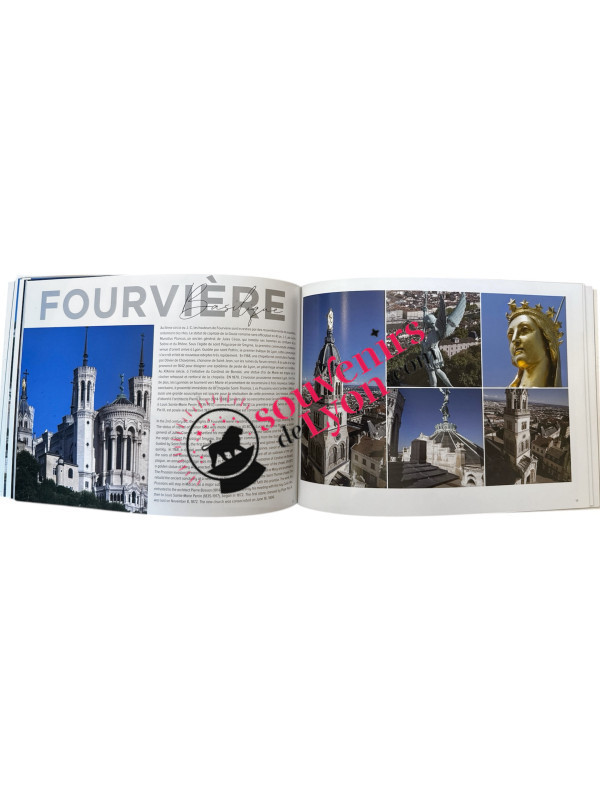 Book Lyon Summary