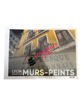 Book Lyon Capital of painted walls