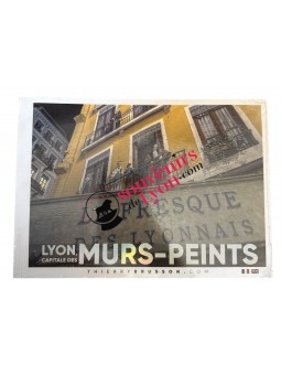 Livre Lyon Capitale des murs peints chez Souvenirsdelyon.com