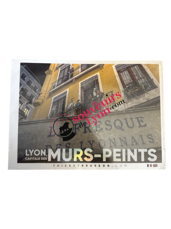 Book Lyon Capital of painted walls