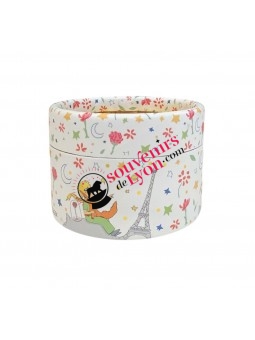 Boite à musique Le Petit Prince Renard Tour eiffel blanche chez souvenirsdelyon.com