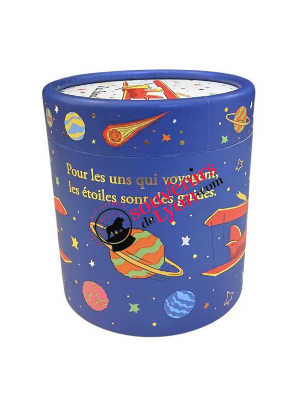 Boite à musique Le Petit Prince Avion chez souvenirsdelyon.com