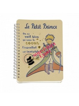 Carnet le Petit Prince en cape chez Souvenirsdelyon.com