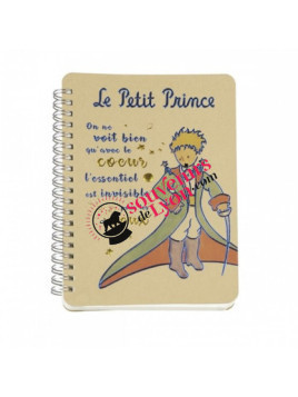 The Little Prince in a cape notebook  on Souvenirsdelyon.com