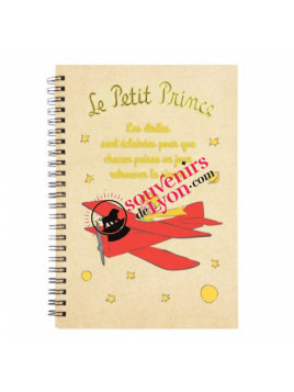 Carnet le Petit Prince aviateur chez Souvenirsdelyon.com