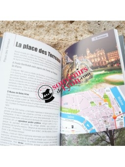 Book Lyon Guided Walks in Portuguese Souvenirsdelyon.com