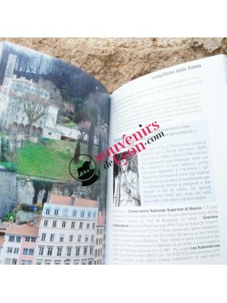 Lyon Balades guidées en italien chez Souvenirsdelyon.com