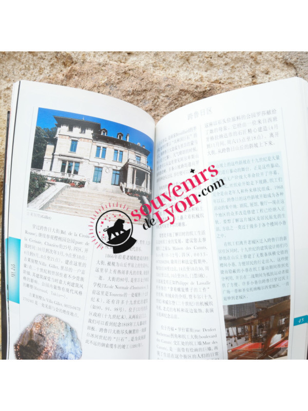 Book Lyon Guided Walks in Chinese Souvenirsdelyon.com