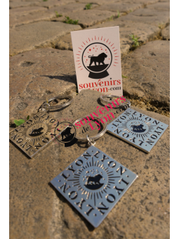 Porte-clés Lyon Square chez Souvenirsdelyon.com