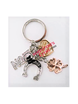 Porte-clés Lyon lucky chance chez Souvenirsdelyon.com